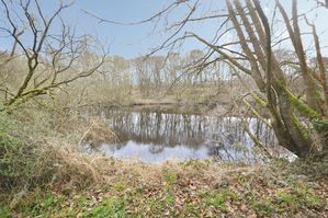 Photo 11- click for photo gallery